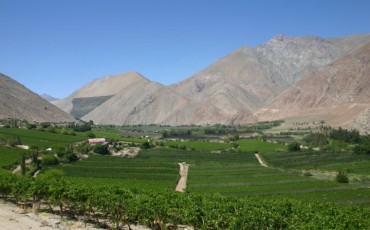 Summit 2021 Wines of Chile
