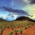 Rioja